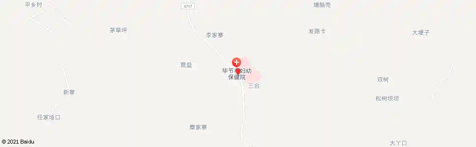 毕节妇幼保健院_公交站地图_毕节公交_妙搜公交查询2025