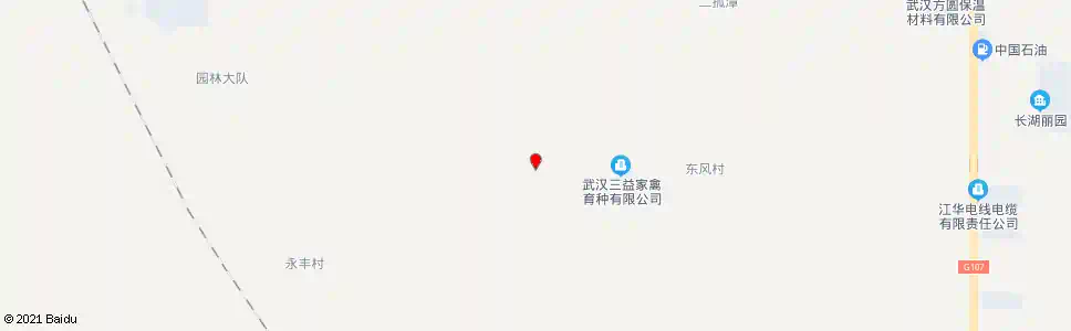 武汉东风路半月潭村_公交站地图_武汉公交_妙搜公交查询2025