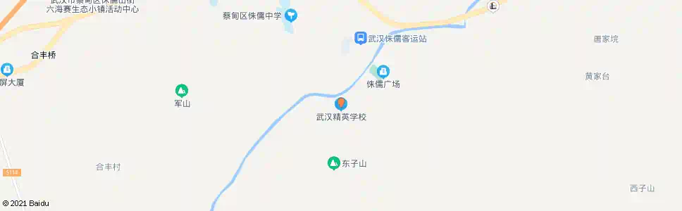 武汉文兴路武汉精英学校_公交站地图_武汉公交_妙搜公交查询2025