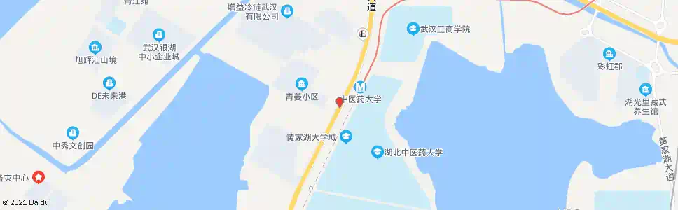 武汉白沙洲大道中医药大学_公交站地图_武汉公交_妙搜公交查询2025