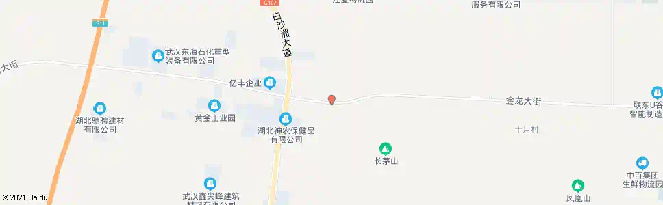 武汉金龙大街生物科技_公交站地图_武汉公交_妙搜公交查询2025