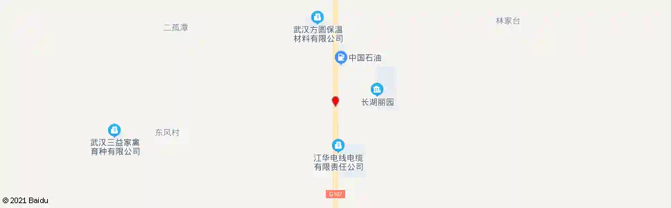 武汉东西湖大道良种场_公交站地图_武汉公交_妙搜公交查询2025