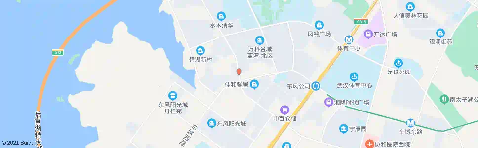 武汉神龙大道蔡家市场_公交站地图_武汉公交_妙搜公交查询2025