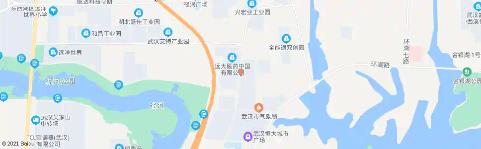 武汉环湖中路远大医药_公交站地图_武汉公交_妙搜公交查询2025