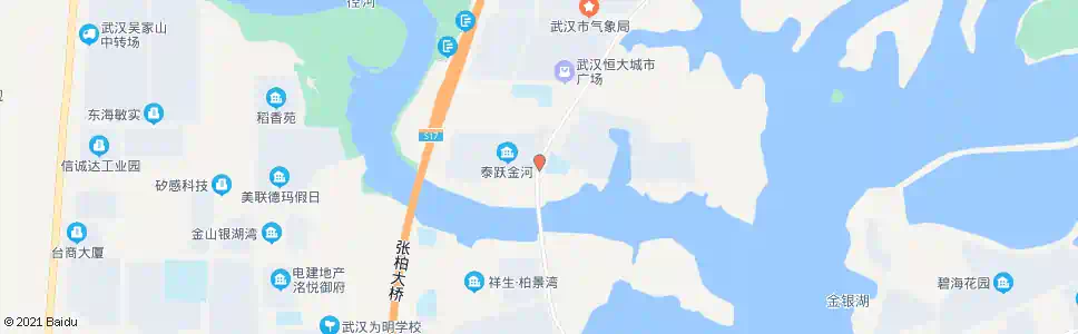 武汉环湖路新桥路_公交站地图_武汉公交_妙搜公交查询2025