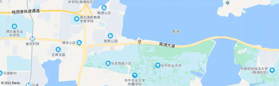 武汉南湖大道华中农大北_公交站地图_武汉公交_妙搜公交查询2025