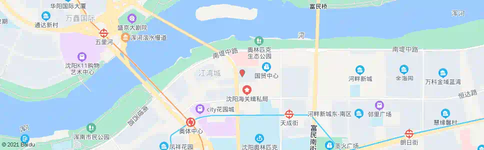 沈阳东北国际医院_公交站地图_沈阳公交_妙搜公交查询2025