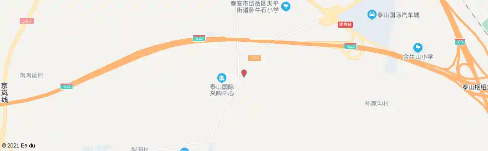 泰安泰山国际采购中心_公交站地图_泰安公交_妙搜公交查询2025