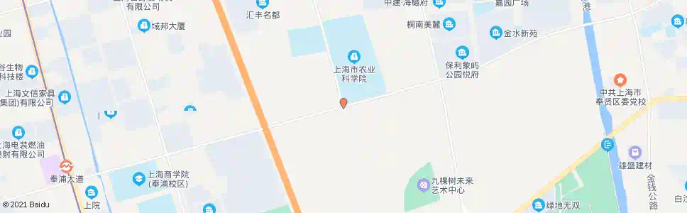 上海望园路金齐路_公交站地图_上海公交_妙搜公交查询2025