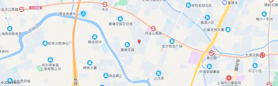 上海同普路棕榈路_公交站地图_上海公交_妙搜公交查询2025
