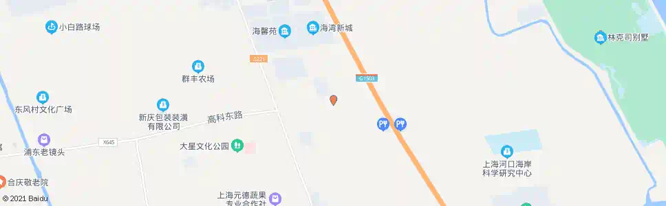 上海凌杨路高科东路(招呼站)_公交站地图_上海公交_妙搜公交查询2025